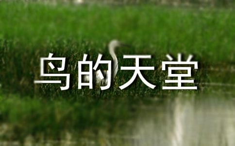 ���B�����á��Ľ̌W�OӋ