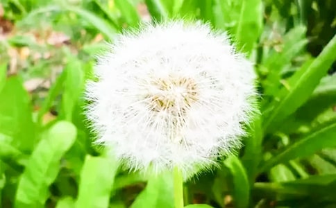 �ѹ�Ӣ����7ƪ[���A]